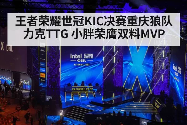 王者荣耀世冠KIC决赛重庆狼队力克TTG 小胖荣膺双料MVP